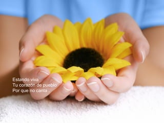 Estando viva 
Tu corazón de pueblo 
Por que no canta . 
 