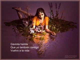 Gaviota herida 
Que yo también contigo 
Vuelvo a la vida 
. 
 