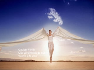 Gaviota herida 
Que yo también de nuevo 
Vuelvo a la vida . 
 