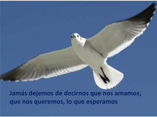 Jamás dejemos de decirnos que nos amamos,
que nos queremos, lo que esperamos
 