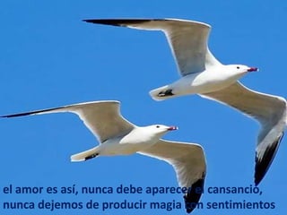 el amor es así, nunca debe aparecer el cansancio,
nunca dejemos de producir magia con sentimientos
 