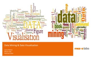 Data Mining & Data Visualisation
Lance Nelson
Mezzo Labs
February 2014
 