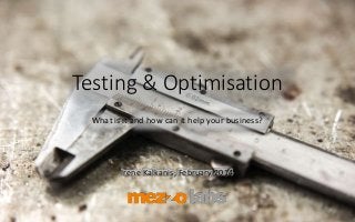 Testing & Optimisation
What is it and how can it help your business?
Irene Kalkanis, February 2014
 