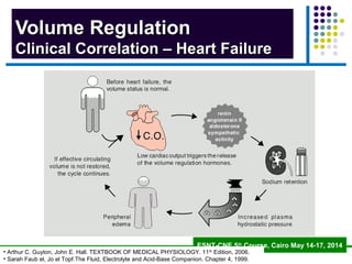 Volume Regulation Visual Effective Circulating Volume Control - Dr. Gawad | PPT