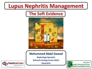 Lupus Nephritis Management
Mohammed Abdel Gawad
Nephrology Specialist
Kidney & Urology Center (KUC)
Alexandria
The Soft Evidence
 