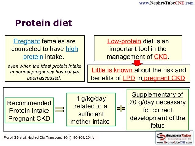 G/Day For Low Protein Diet