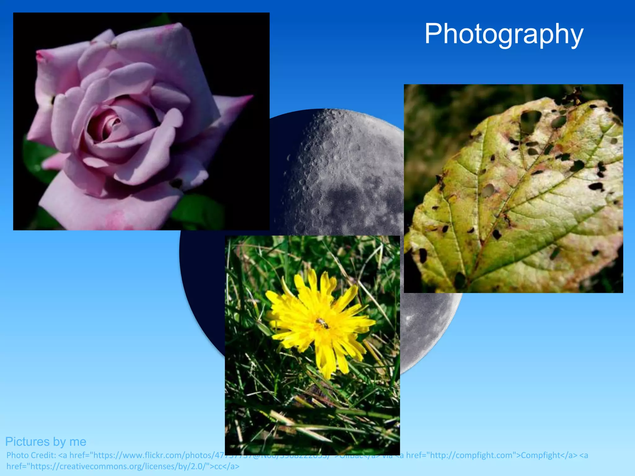 Photography 
Pictures by me 
Photo Credit: <a href="https://www.flickr.com/photos/47757737@N00/3908222053/">OliBac</a> via <a href="http://compfight.com">Compfight</a> <a 
href="https://creativecommons.org/licenses/by/2.0/">cc</a> 
 