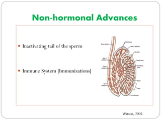Non-hormonal Advances
 Inactivating tail of the sperm

 Immune System [Immunizations]

Watson, 2005

 
