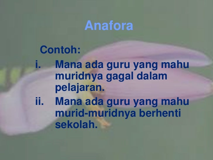 Contoh Ayat Gaya Bahasa Hiperbola - Rasmi Ri