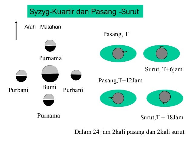 Gaya pasang surut