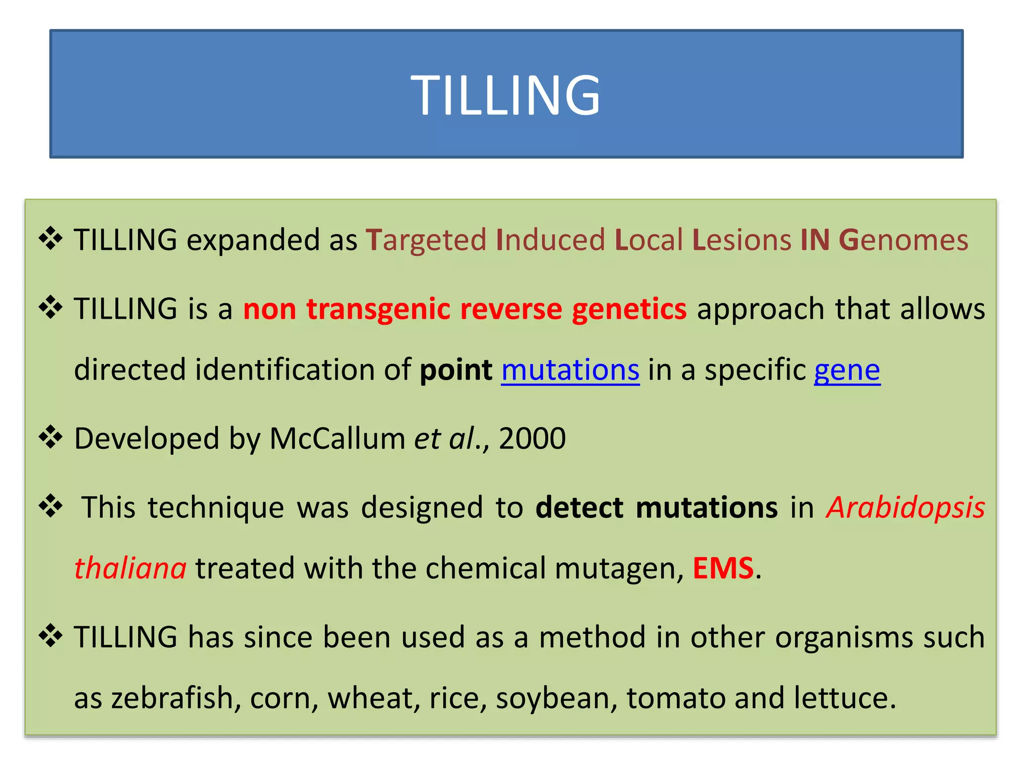 TILLING
 TILLING expanded as Targeted Induced Local Lesions IN Genomes
 TILLING is a non transgenic reverse genetics approach that allows
directed identification of point mutations in a specific gene
 Developed by McCallum et al., 2000
 This technique was designed to detect mutations in Arabidopsis
thaliana treated with the chemical mutagen, EMS.
 TILLING has since been used as a method in other organisms such
as zebrafish, corn, wheat, rice, soybean, tomato and lettuce.
 