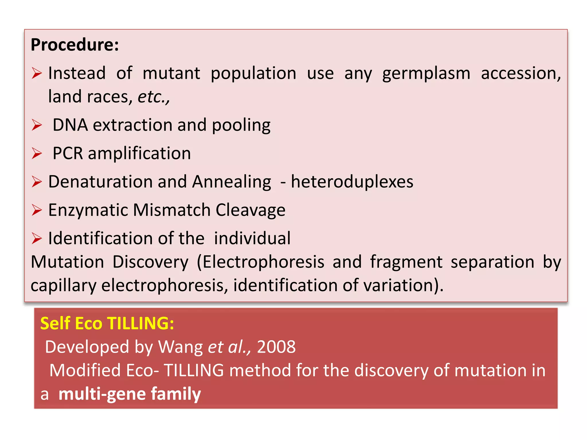 Self Eco TILLING:
Developed by Wang et al., 2008
Modified Eco- TILLING method for the discovery of mutation in
a multi-gene family
Procedure:
 Instead of mutant population use any germplasm accession,
land races, etc.,
 DNA extraction and pooling
 PCR amplification
 Denaturation and Annealing - heteroduplexes
 Enzymatic Mismatch Cleavage
 Identification of the individual
Mutation Discovery (Electrophoresis and fragment separation by
capillary electrophoresis, identification of variation).
 