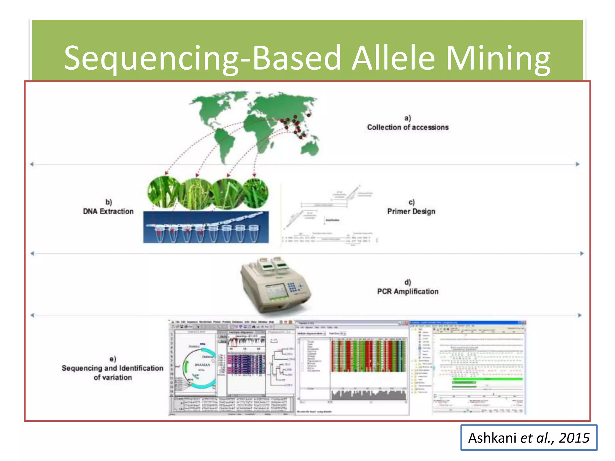 Sequencing-Based Allele Mining
Ashkani et al., 2015
 