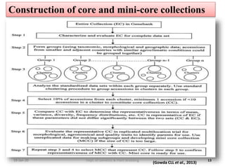 19-Jan-20 13
(Gowda CLL et al., 2013)
Construction of core and mini-core collections
Dept. of Genetics & Plant Breeding
 
