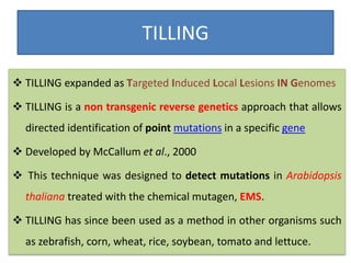 TILLING
 TILLING expanded as Targeted Induced Local Lesions IN Genomes
 TILLING is a non transgenic reverse genetics approach that allows
directed identification of point mutations in a specific gene
 Developed by McCallum et al., 2000
 This technique was designed to detect mutations in Arabidopsis
thaliana treated with the chemical mutagen, EMS.
 TILLING has since been used as a method in other organisms such
as zebrafish, corn, wheat, rice, soybean, tomato and lettuce.
 