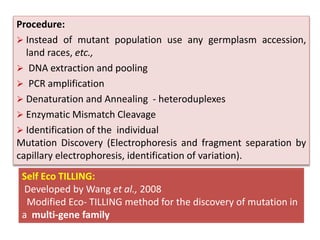 Self Eco TILLING:
Developed by Wang et al., 2008
Modified Eco- TILLING method for the discovery of mutation in
a multi-gene family
Procedure:
 Instead of mutant population use any germplasm accession,
land races, etc.,
 DNA extraction and pooling
 PCR amplification
 Denaturation and Annealing - heteroduplexes
 Enzymatic Mismatch Cleavage
 Identification of the individual
Mutation Discovery (Electrophoresis and fragment separation by
capillary electrophoresis, identification of variation).
 