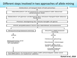 Different steps involved in two approaches of allele mining
Kumari et al., 2018
 