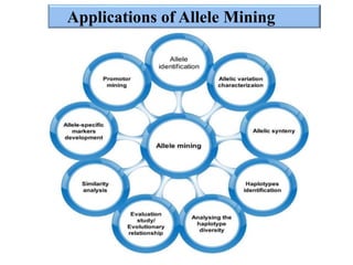 Applications of Allele Mining
 