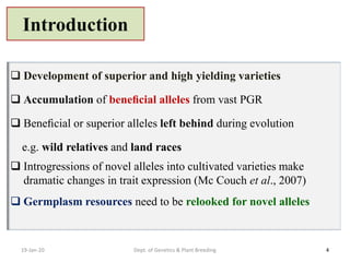 19-Jan-20 Dept. of Genetics & Plant Breeding 4
 Development of superior and high yielding varieties
 Accumulation of beneﬁcial alleles from vast PGR
 Beneﬁcial or superior alleles left behind during evolution
e.g. wild relatives and land races
 Introgressions of novel alleles into cultivated varieties make
dramatic changes in trait expression (Mc Couch et al., 2007)
 Germplasm resources need to be relooked for novel alleles
Introduction
 