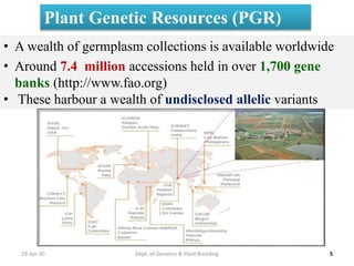 19-Jan-20 5Dept. of Genetics & Plant Breeding
Plant Genetic Resources (PGR)
• A wealth of germplasm collections is available worldwide
• Around 7.4 million accessions held in over 1,700 gene
banks (http://www.fao.org)
• These harbour a wealth of undisclosed allelic variants
 