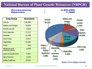 19-Jan-20 Dept. of Genetics & Plant Breeding 6
National Bureau of Plant Genetic Resources (NBPGR)
(http://www.nbpgr.ernet.in)
 