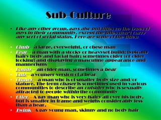 Sub-Culture   <ul><li>Like any other group, gays also put titles on the types of guys in their community, except the title...