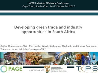 Gaylor Montmasson-Clair, Christopher Wood, Shakespear Mudombi and Bhavna Deonarain
Trade and Industrial Policy Strategies (TIPS)
NCPC Industrial Efficiency Conference
Cape Town, South Africa, 14-15 September 2017
in partnership with
 