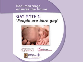 Gay Myths