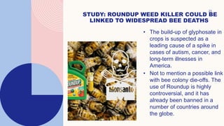 23
STUDY: ROUNDUP WEED KILLER COULD BE
LINKED TO WIDESPREAD BEE DEATHS
• The build-up of glyphosate in
crops is suspected as a
leading cause of a spike in
cases of autism, cancer, and
long-term illnesses in
America.
• Not to mention a possible link
with bee colony die-offs. The
use of Roundup is highly
controversial, and it has
already been banned in a
number of countries around
the globe.
 