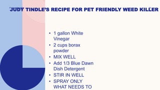Presentation title 24
JUDY TINDLE’S RECIPE FOR PET FRIENDLY WEED KILLER
• 1 gallon White
Vinegar
• 2 cups borax
powder
• MIX WELL
• Add 1/3 Blue Dawn
Dish Detergent
• STIR IN WELL
• SPRAY ONLY
WHAT NEEDS TO
 