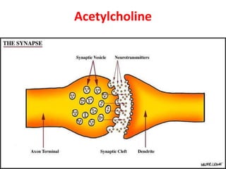Acetylcholine
 