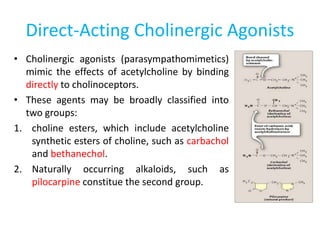 Direct-Acting Cholinergic Agonists
• Cholinergic agonists (parasympathomimetics)
mimic the effects of acetylcholine by binding
directly to cholinoceptors.
• These agents may be broadly classified into
two groups:
1. choline esters, which include acetylcholine
synthetic esters of choline, such as carbachol
and bethanechol.
2. Naturally occurring alkaloids, such as
pilocarpine constitue the second group.
 