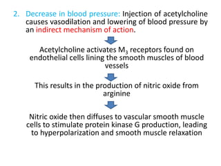 2. Decrease in blood pressure: Injection of acetylcholine
causes vasodilation and lowering of blood pressure by
an indirect mechanism of action.
Acetylcholine activates M3 receptors found on
endothelial cells lining the smooth muscles of blood
vessels
This results in the production of nitric oxide from
arginine
Nitric oxide then diffuses to vascular smooth muscle
cells to stimulate protein kinase G production, leading
to hyperpolarization and smooth muscle relaxation
 