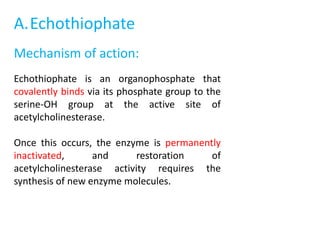 A.Echothiophate
Mechanism of action:
Echothiophate is an organophosphate that
covalently binds via its phosphate group to the
serine-OH group at the active site of
acetylcholinesterase.
Once this occurs, the enzyme is permanently
inactivated, and restoration of
acetylcholinesterase activity requires the
synthesis of new enzyme molecules.
 