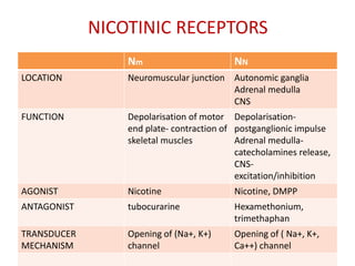 NICOTINIC RECEPTORS
Nm NN
LOCATION Neuromuscular junction Autonomic ganglia
Adrenal medulla
CNS
FUNCTION Depolarisation of motor
end plate- contraction of
skeletal muscles
Depolarisation-
postganglionic impulse
Adrenal medulla-
catecholamines release,
CNS-
excitation/inhibition
AGONIST Nicotine Nicotine, DMPP
ANTAGONIST tubocurarine Hexamethonium,
trimethaphan
TRANSDUCER
MECHANISM
Opening of (Na+, K+)
channel
Opening of ( Na+, K+,
Ca++) channel
 