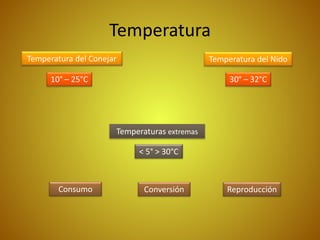 Temperatura
Temperatura del Conejar
10° – 25°C
Consumo Conversión Reproducción
Temperatura del Nido
30° – 32°C
Temperaturas extremas
< 5° > 30°C
 