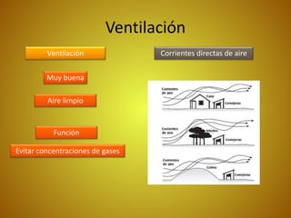 Ventilación
Ventilación
Muy buena
Corrientes directas de aire
Aire limpio
Evitar concentraciones de gases
Función
 