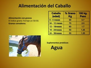 Alimentación del Caballo
Alimentación con granos
El índice grano: Forraje un 50:50.
Granos cerealeros.
Caballo
(edad)
% Grano
Kg
100 kg.
Peso
0 - 4 meses 90 0.7
54 - 12 meses 70 2.0
12 - 18meses 60 1.7
18 - 24meses 50 1.25
24 - 36meses 50 1.25
Suplementos protéicos
Agua
 