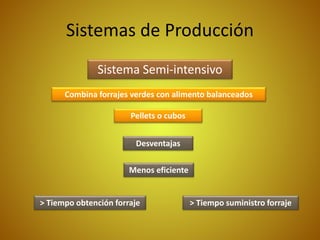 Sistemas de Producción
Sistema Semi-intensivo
Combina forrajes verdes con alimento balanceados
Pellets o cubos
Desventajas
Menos eficiente
> Tiempo obtención forraje > Tiempo suministro forraje
 