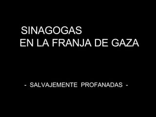   SINAGOGAS  EN LA FRANJA DE GAZA -  SALVAJEMENTE  PROFANADAS  -   