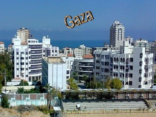 Gaza yes gaza