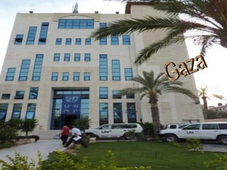 Gaza yes gaza