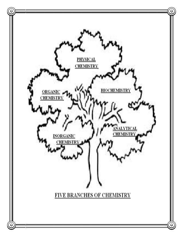 what are the branches of chemistry Quia web allows users to create and share online educational activities in dozens of subjects, including chemistry. what are the branches of chemistry Quia web allows users to create and share online educational activities in dozens of subjects, including chemistry.