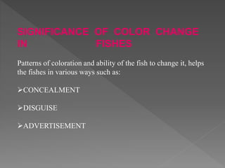 SIGNIFICANCE OF COLOR CHANGE
IN FISHES
Patterns of coloration and ability of the fish to change it, helps
the fishes in various ways such as:
CONCEALMENT
DISGUISE
ADVERTISEMENT
 