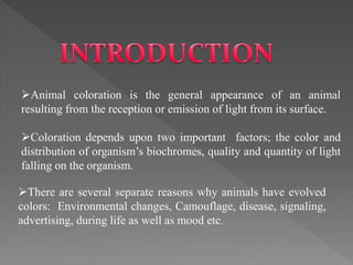 COLORATION IN FISHES: its Regulation and significance by GAZEE OWAIS | PPTX