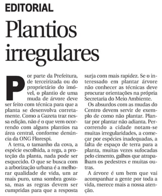 Editorial - Plantios irregulares