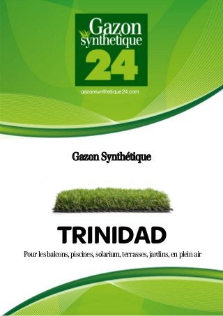 gazonsynthetique24.com
Gazon Synthétique
Pourlesbalcons,piscines,solarium,terrasses,jardins,enpleinair
TRINIDAD
 