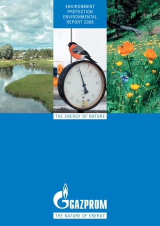 ENVIRONMENT
     PROTECTION
   ENVIRONMENTAL
    REPORT 2008




THE ENERGY OF NATURE




THE NATURE OF ENERGY
 