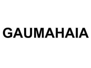 GAUMAHAIA 