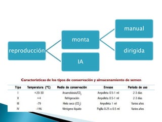 reproducción
monta
manual
dirigida
IA
 
